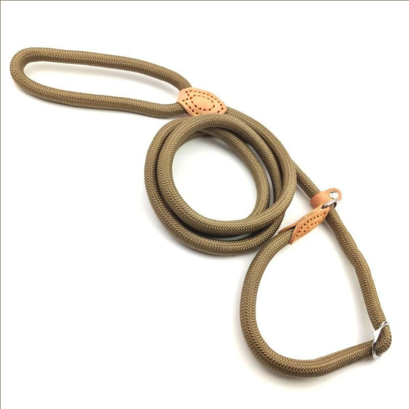 PawEase Slip Leash for Dogs