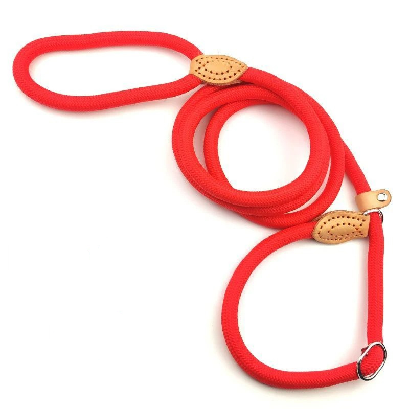 PawEase Slip Leash for Dogs