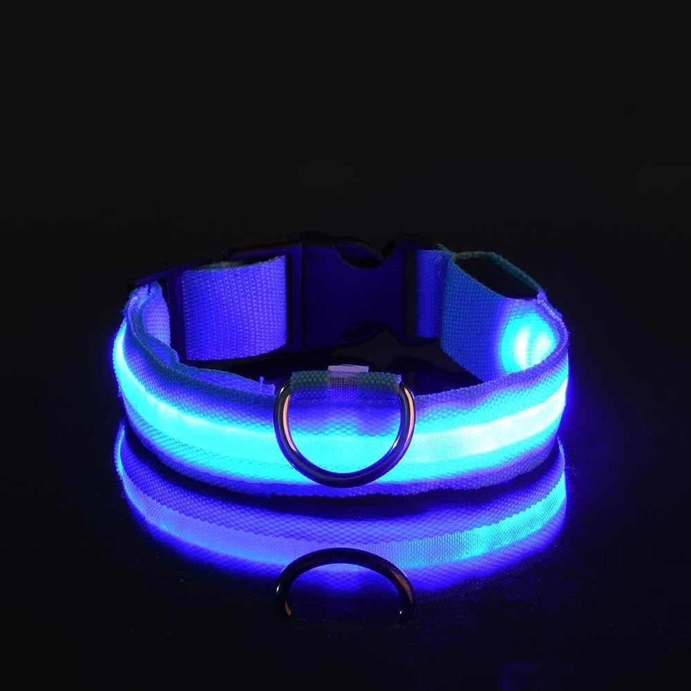 GlowGuard LED Nylon Dog Collar