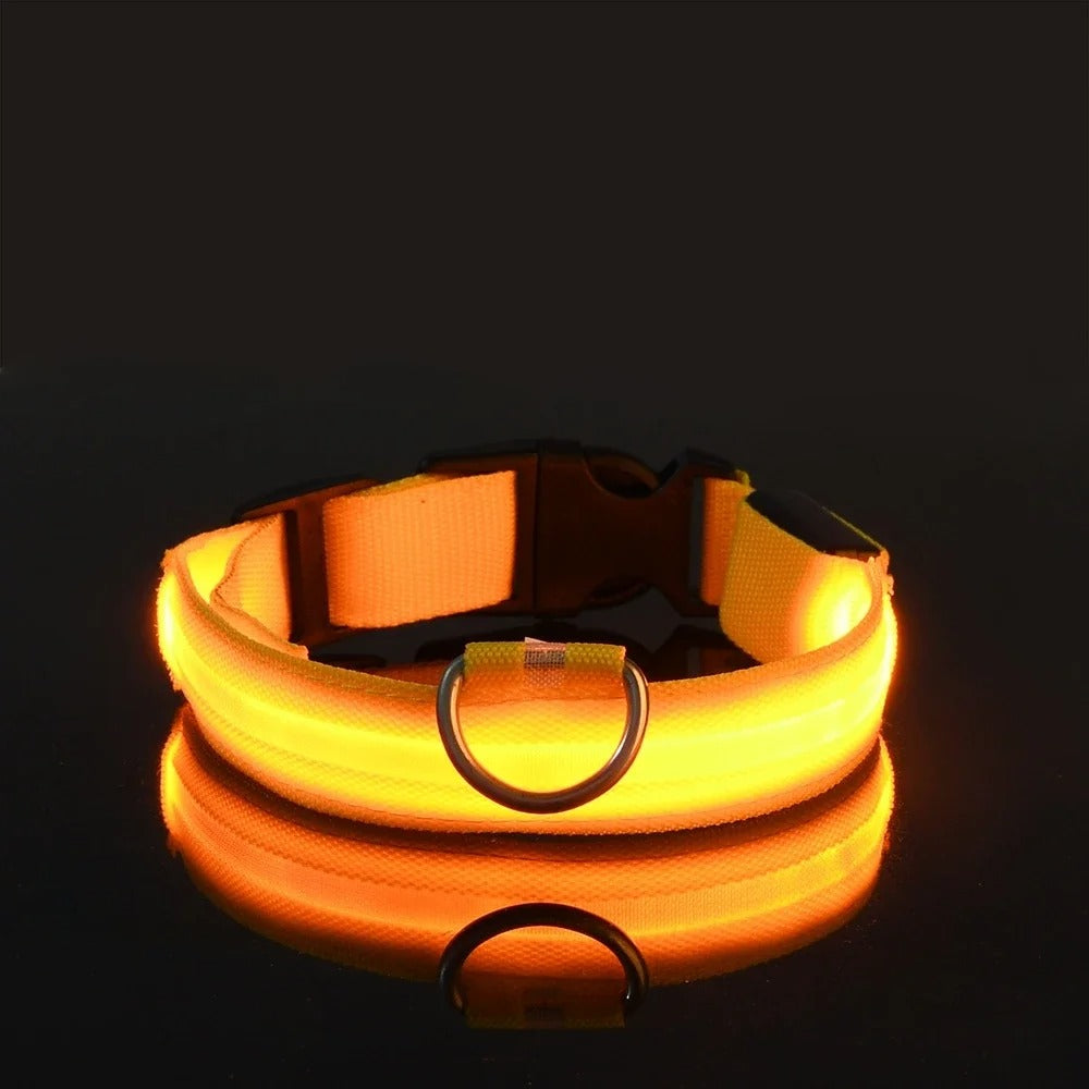 GlowGuard LED Nylon Dog Collar