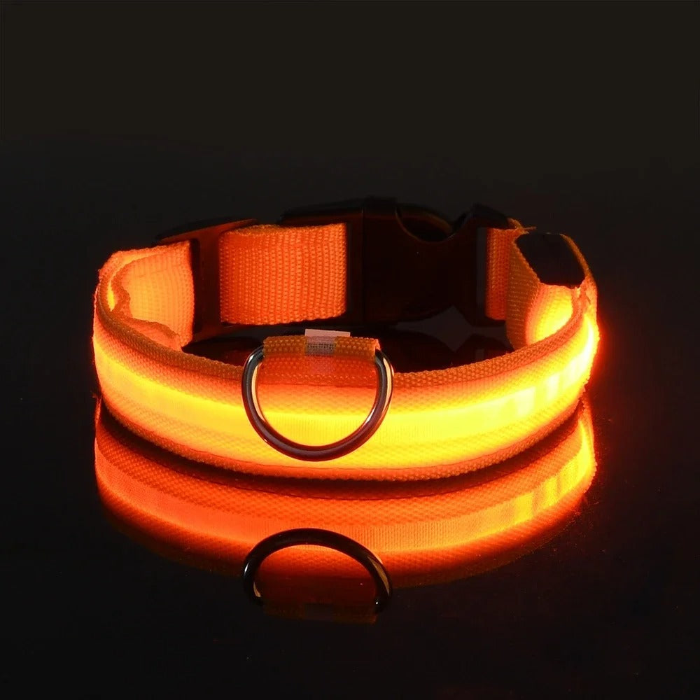 GlowGuard LED Nylon Dog Collar