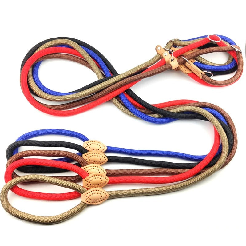 PawEase Slip Leash for Dogs