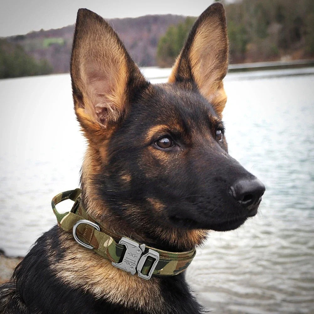 K9Guard Tactical Collar