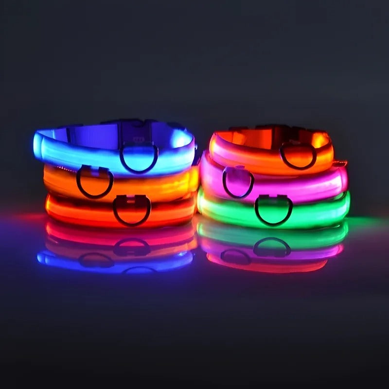 GlowGuard LED Nylon Dog Collar