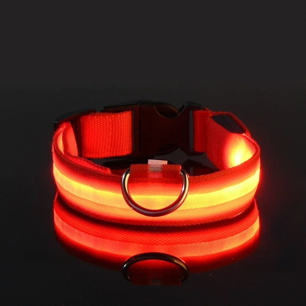 GlowGuard LED Nylon Dog Collar