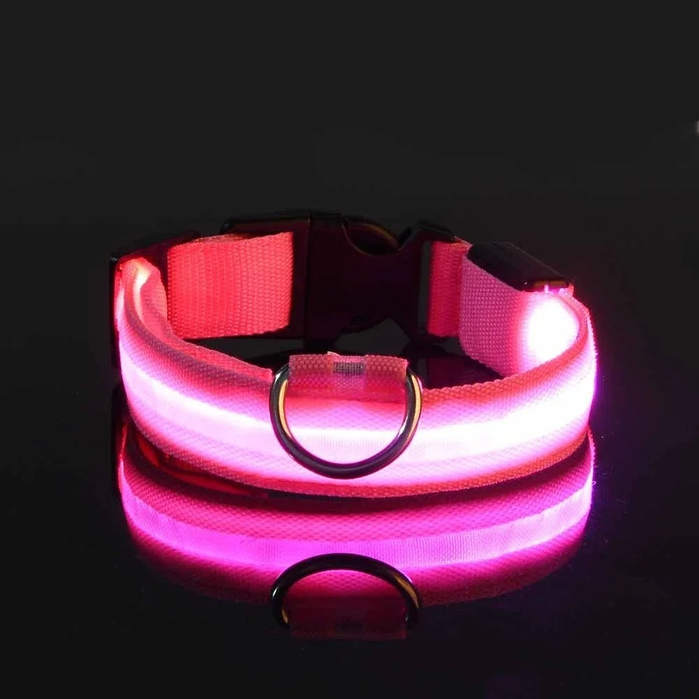 GlowGuard LED Nylon Dog Collar